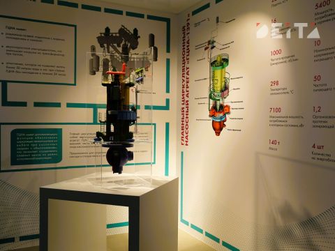 Поручение Путина, вулкан и мирный атом – приморцы хотят АЭС, но боятся