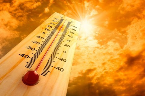 Жара до +32°С ждет жителей континентальных районов Приморья