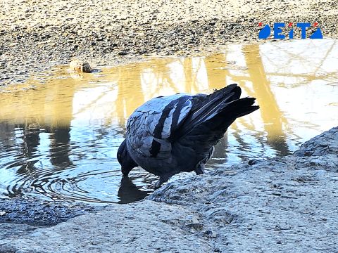 В Приморье закончится дождь