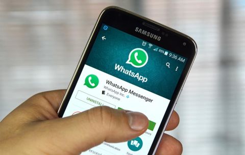 Россиян призвали установить пароль на WhatsApp