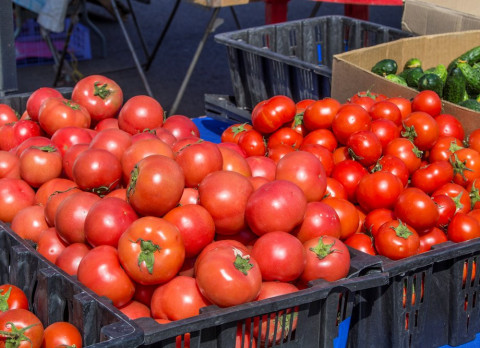 Фестиваль овощей пройдет в выходные во Владивостоке