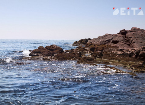 Тепло и влажно: погода не помешает отдыху на выходных в Приморье