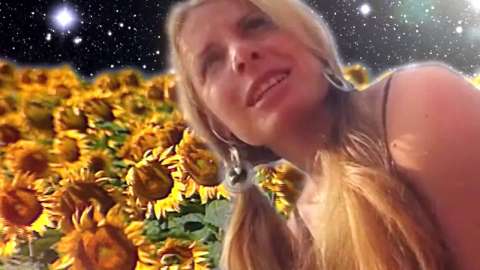 Квоты на подсолнухи увеличили в России