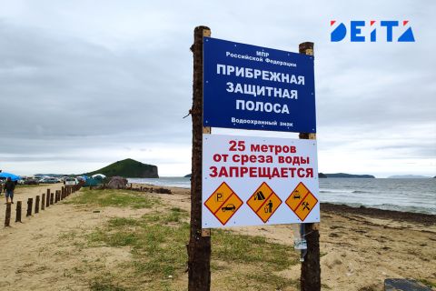 Массовую гибель рыб и креветок в пригороде Владивостока расследует прокуратура