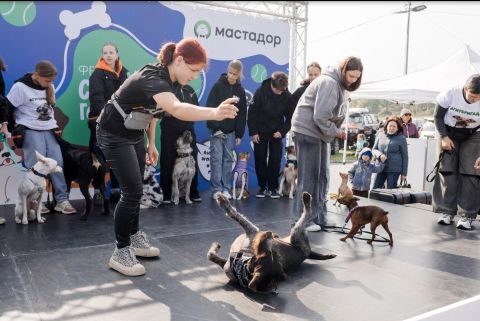 Собачий фестиваль для людей и питомцев пройдет во Владивостоке