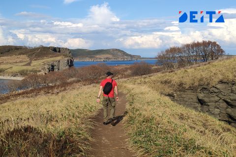 Связь доступнее: еще 15 населенных пунктов Приморья подключат к интернету и сотовой сети