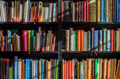 Без «Дяди Фёдора», «Илиады» и «Обломова»: Госдуму просят проверить книги на ЛГБТ-пропаганду