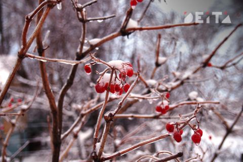 Аномально низкие температуры возможны в Приморье на этой неделе