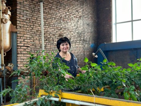 Зимний сад среди очистных сооружений разбила работник Уссурийского ЛРЗ