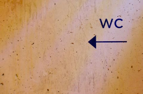 Бесплатные и доступные: в Госдуме работают над включением общественных туалетов в общую инфраструктуру