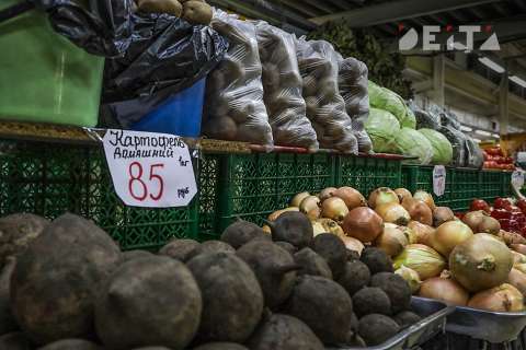 В России создадут новые оптовые рынки продуктов