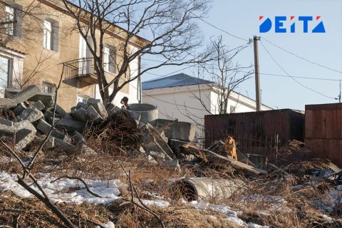 Заброшенный участок угрожает микрорайону Владивостока ландшафтными пожарами