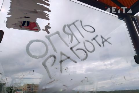 Зумеры смешали карты на рынке труда