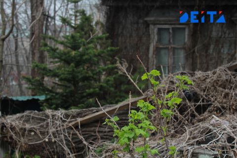 Битва за землю: когда дом могут назвать многоквартирным