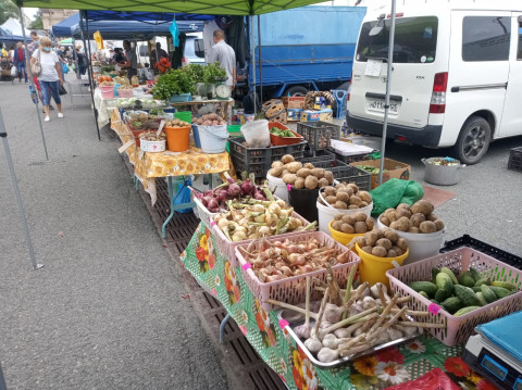 Фестиваль овощей проходит на центральной площади Владивостока 