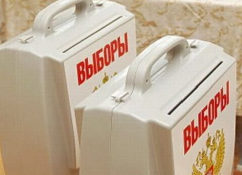 Центризбирком вычеркнул четырех человек из списка ЛДПР на выборы в Госдуму