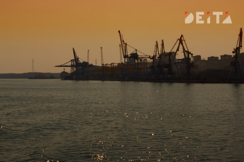 Владимир Корчанов назначен руководителем ВМТП с 19 августа