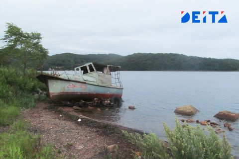 Загрязнение Уссурийского залива в пригороде Владивостока расследует прокуратура