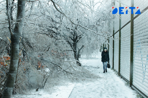 Снегопад обещают Приморью синоптики
