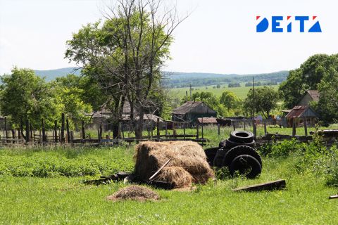 Навоз может стоить россиянам почти полумиллионного штрафа