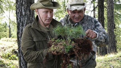 Песков: ищите Путина в Сибири