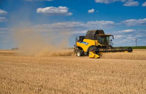 Рекордный урожай: что может помешать планам Путина