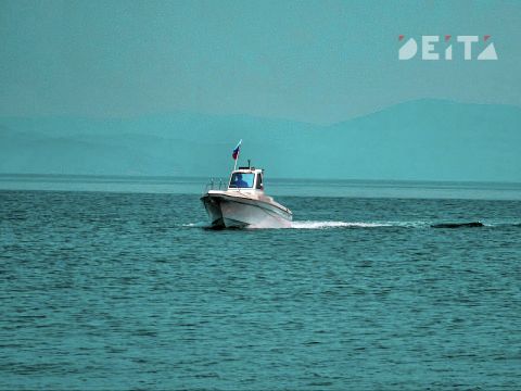 Прокуратура взяла под контроль дело о гибели амурского тигра во Владивостоке