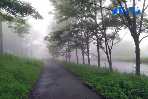 Туман накрывает Приморье