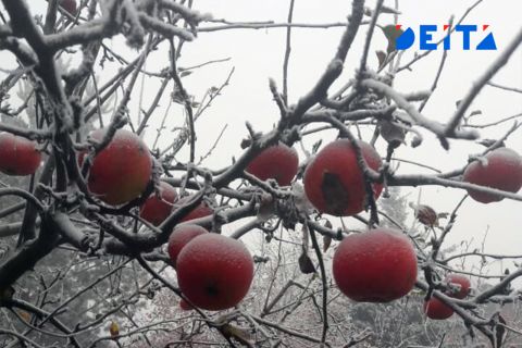 Каких осадков ждать в Приморье на неделе, рассказали синоптики