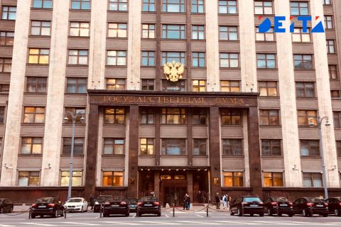 В Госдуме взбунтовались против новых учебников истории