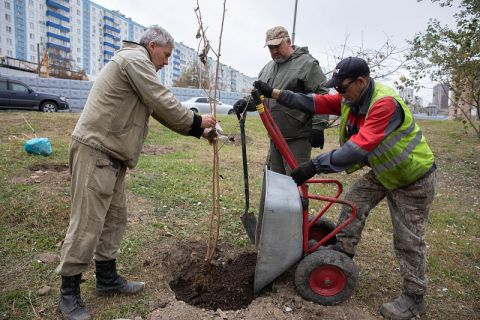 Более пяти тысяч новых кустарников и деревьев появится во Владивостоке