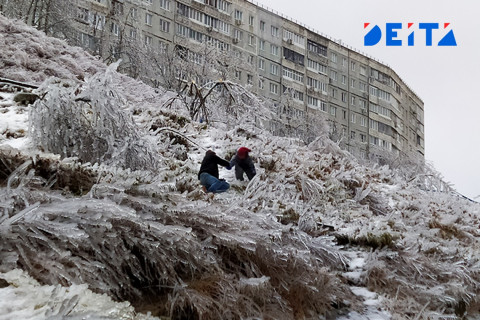 «Не шевелись!»: Житель Владивостока спас ребёнка из ледяного плена