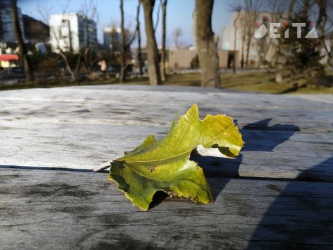 Тёплые выходные ожидаются в Приморье