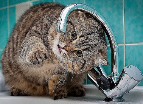 Массовые отключения воды ждут жителей Владивостока на следующей неделе