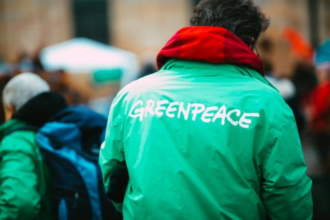 Greenpeace теперь вне закона в России