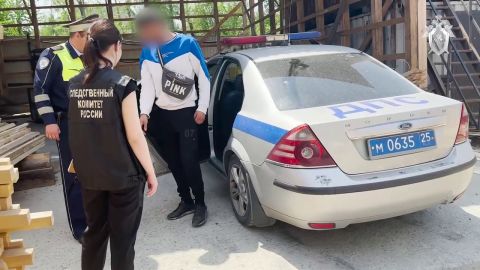 Наехавший на девочку во Владивостоке мигрант имел поддельные документы