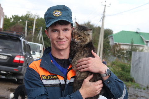 Мокрые, но живые: людей и котов спасают в затопленных районах Дальнего Востока