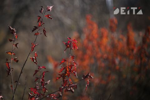 В начале недели приморцев ждёт похолодание и ветер