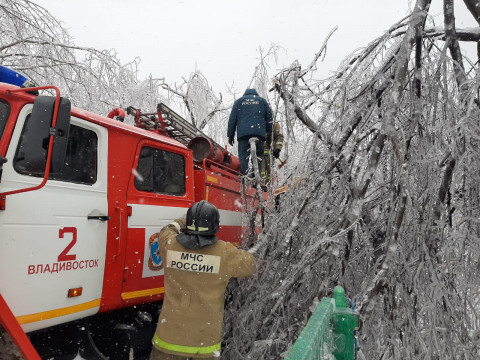 Власти Приморья вводят режим ЧС