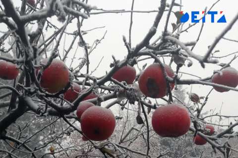 Резкое похолодание придёт в Приморье на этой неделе