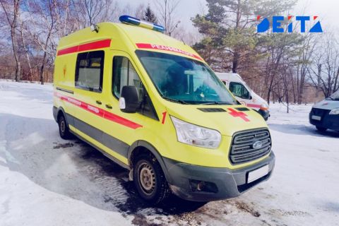 Экстренного обследования для маленькой девочки добиваются приморцы через мэра и Минздрав