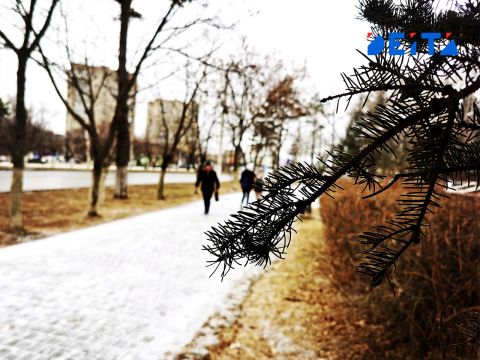 От морозов к оттепели и обратно: Приморье ждут погодные «качели»