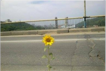 «Игорь» пробился на свободу