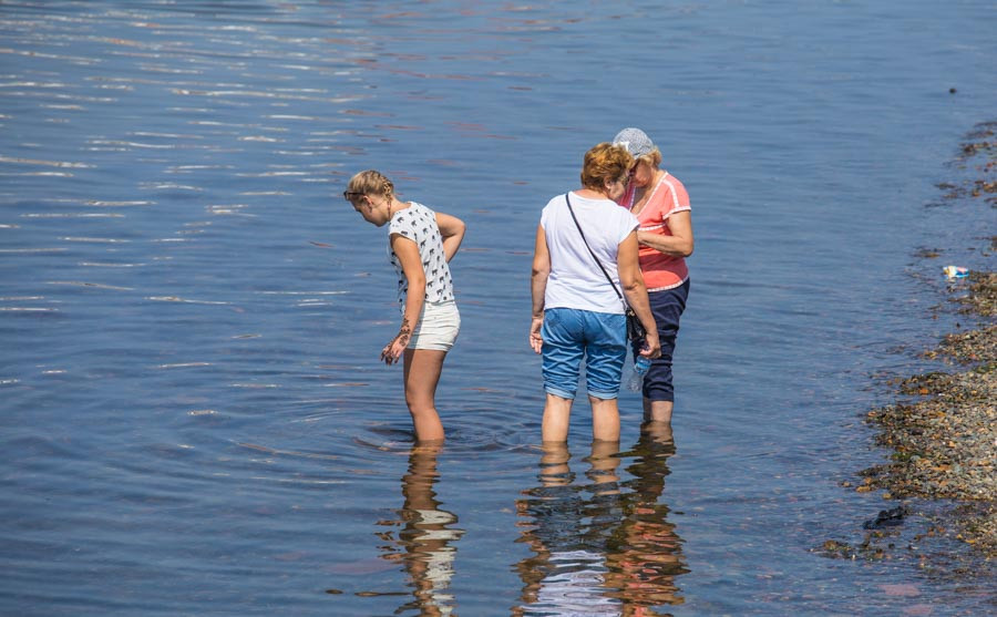 Жители Владивостока спасаются от жары, как могут