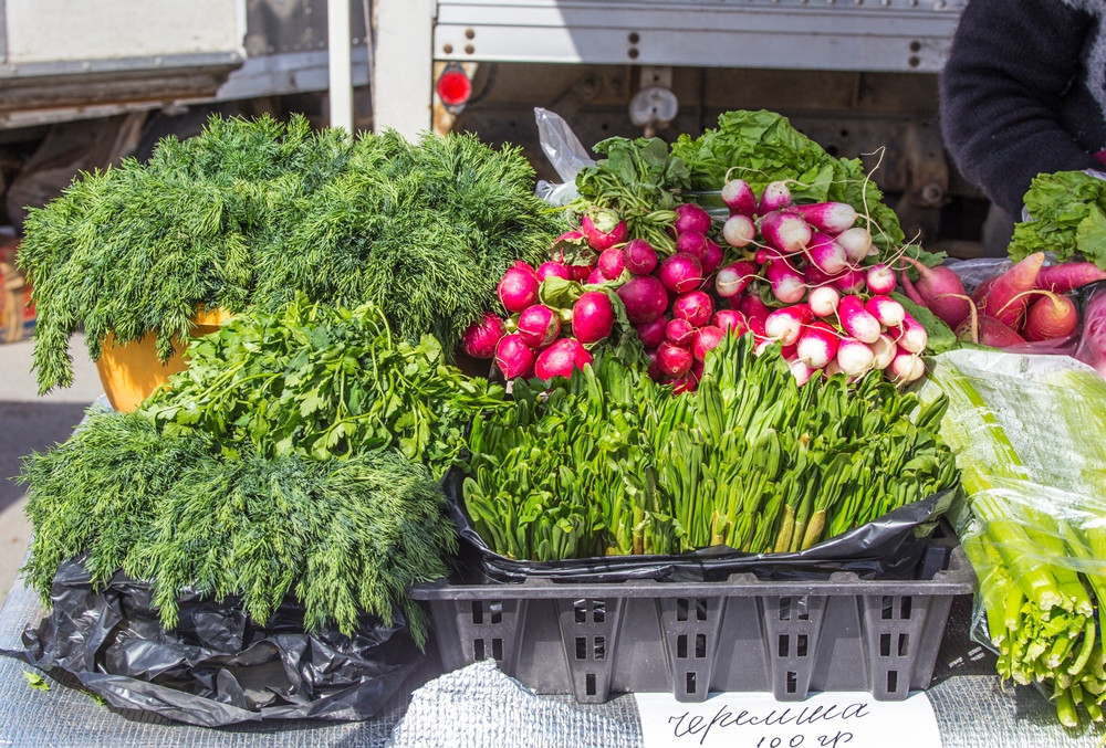 Дачникам расскажут о новых сортах