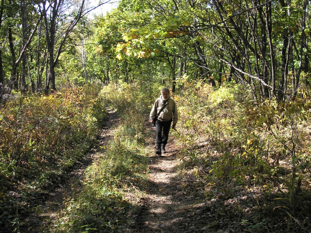 Спасатели нашли пропавшего грибника