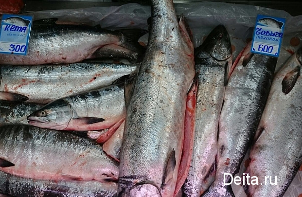 На Сахалине за браконьерство задержали 11 иностранцев