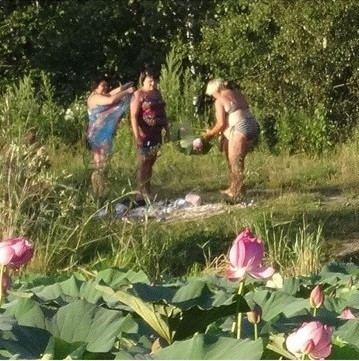 Отдыхающие истребляют краснокнижные растения