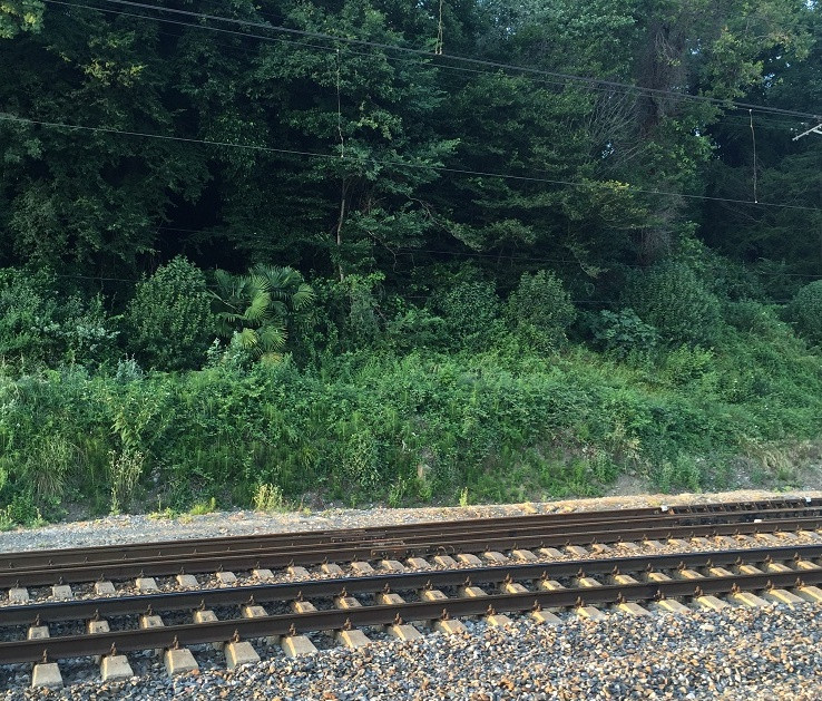 Поезд Москва-Владивосток сошел с рельсов 