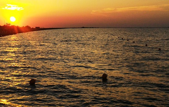 Заявление санитарных врачей взбудоражило соцсети 